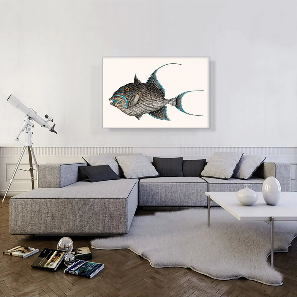 Old Wife Fish