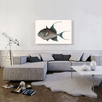 Old Wife Fish